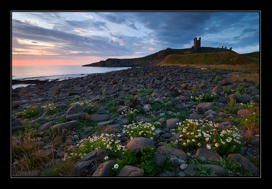 Flowering sunrise