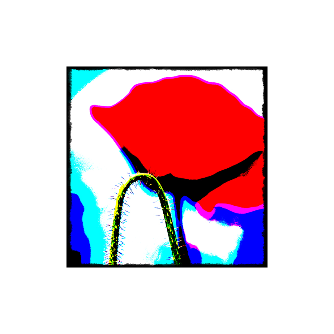 FlowerPopArt