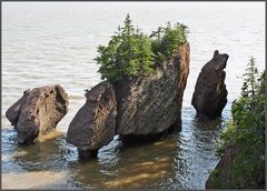 Flowerpot Rock