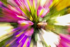 FlowerPower