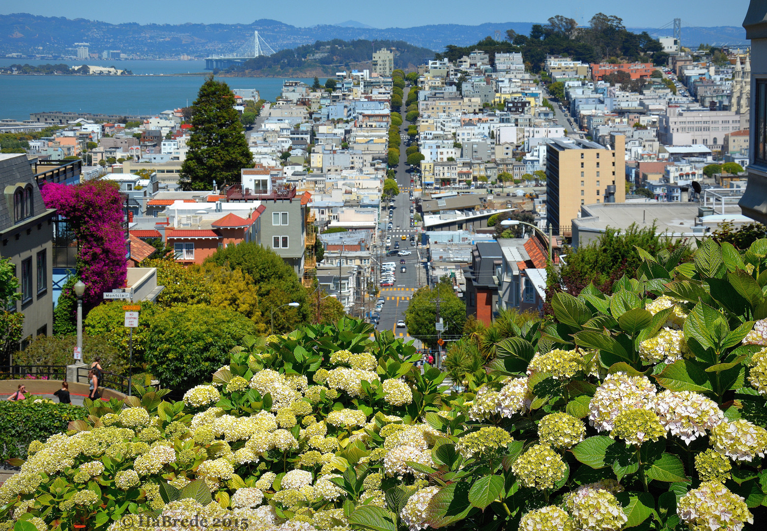 Flowerpower in San Francisco