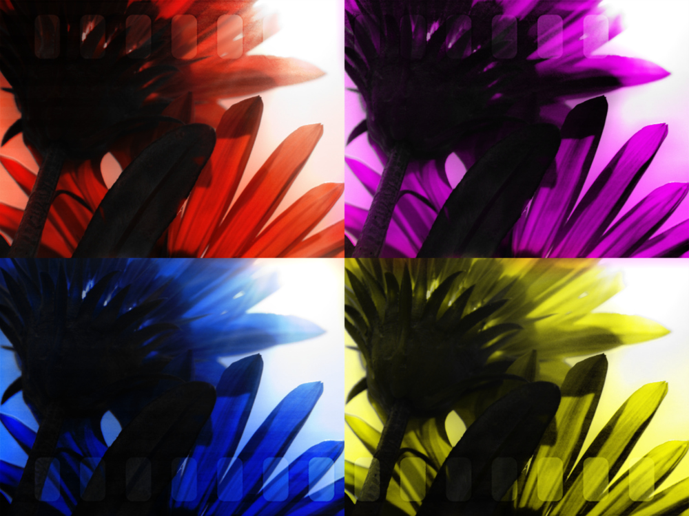 FlowerPower IV