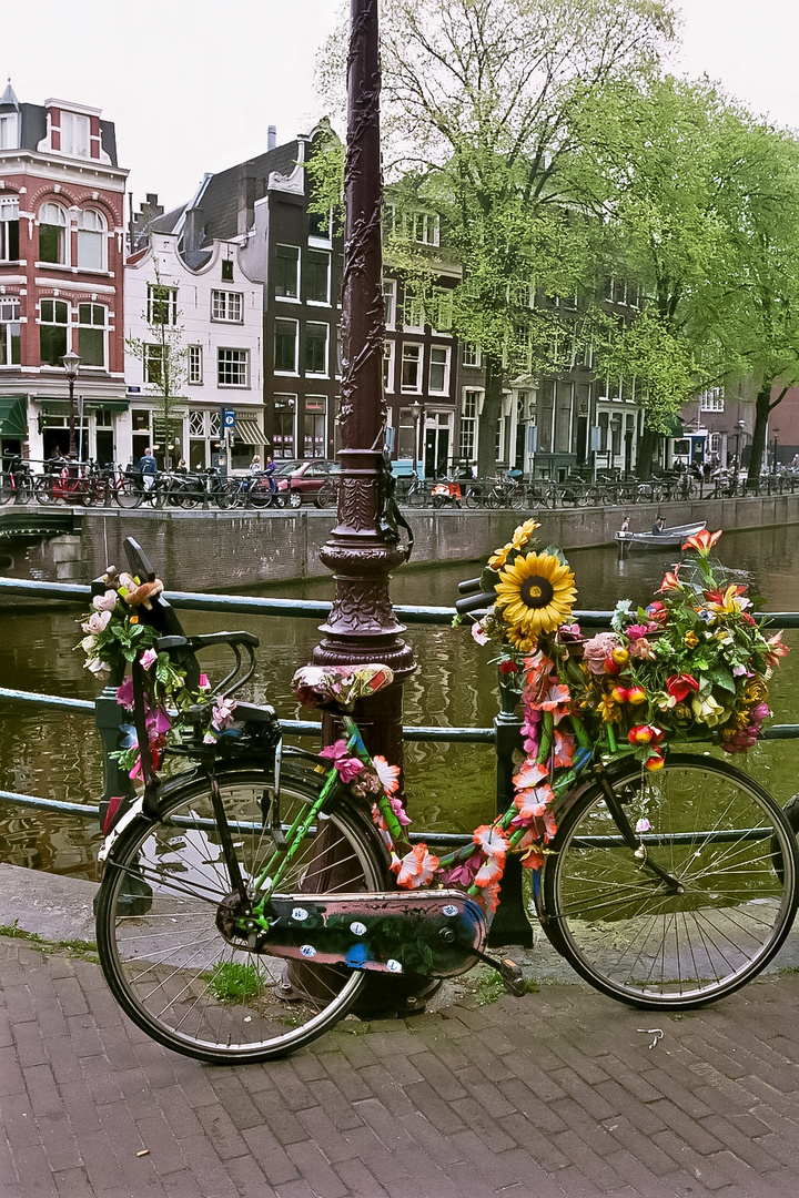 Flowerrad aus Amsterdam