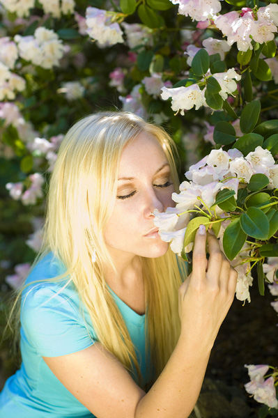 Flowers 2