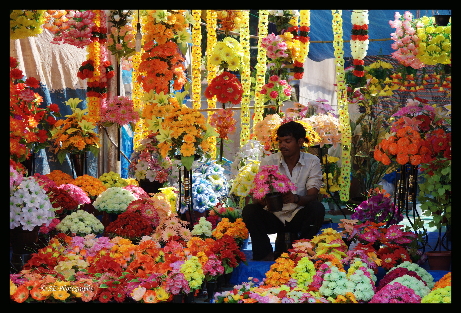 Flowers!