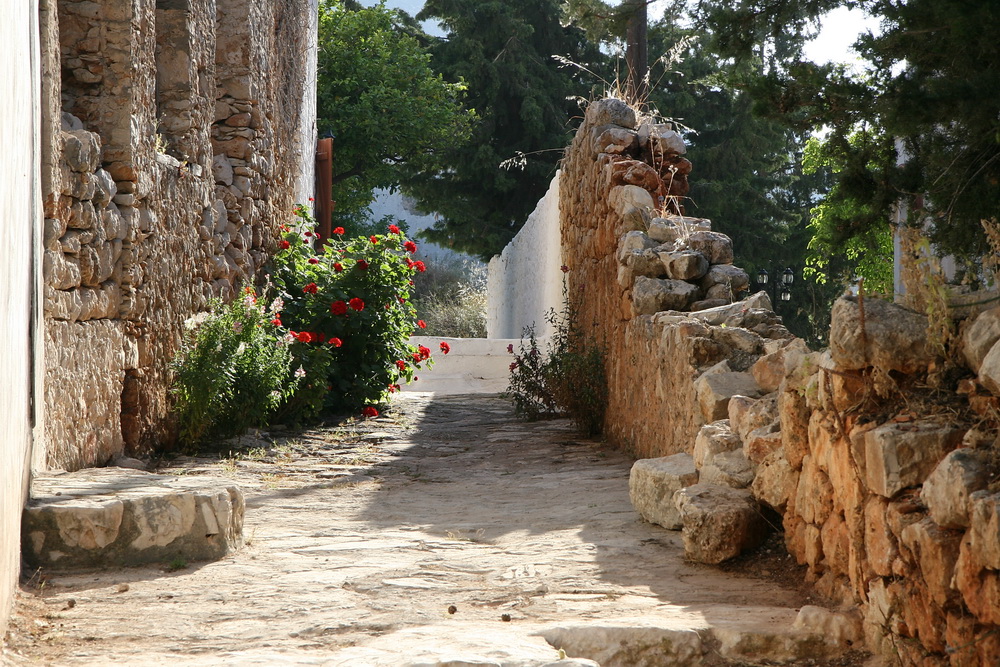 Flowers and Ruins