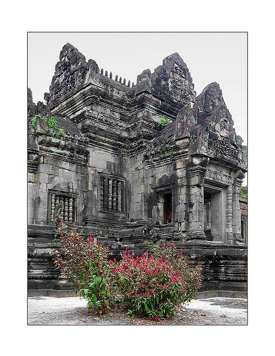 Flowers and stones (Banteay Samre) - Reload