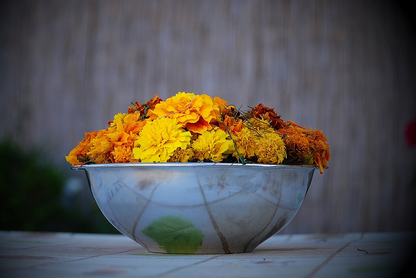 flowers at dinner...