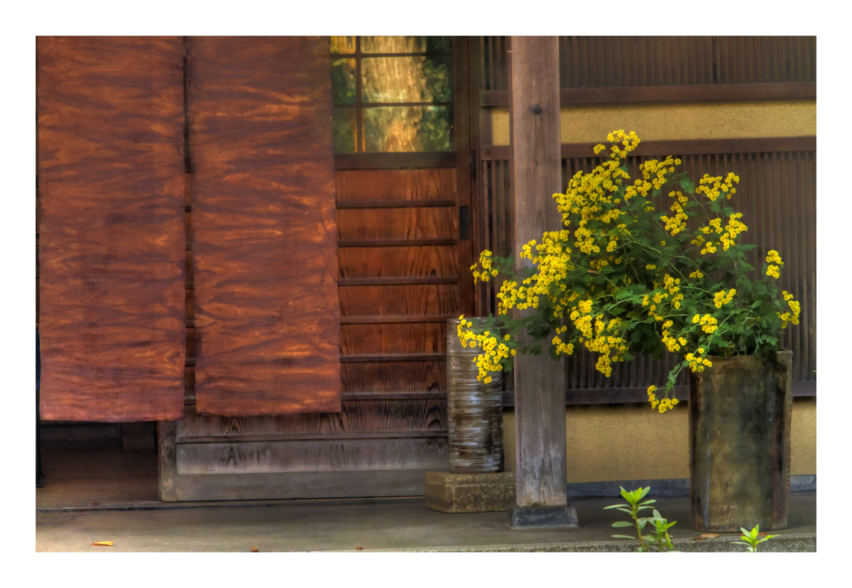 Flowers at storefront