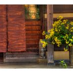 Flowers at storefront