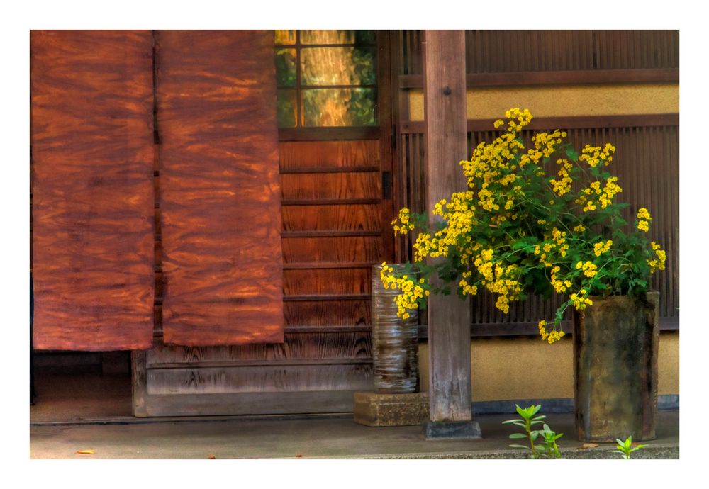 Flowers at storefront