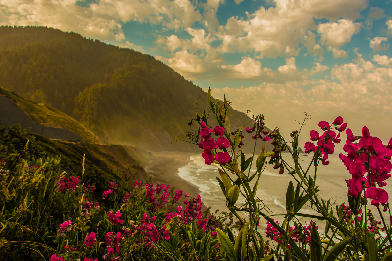 Flowers at the Pacific Coast Highway