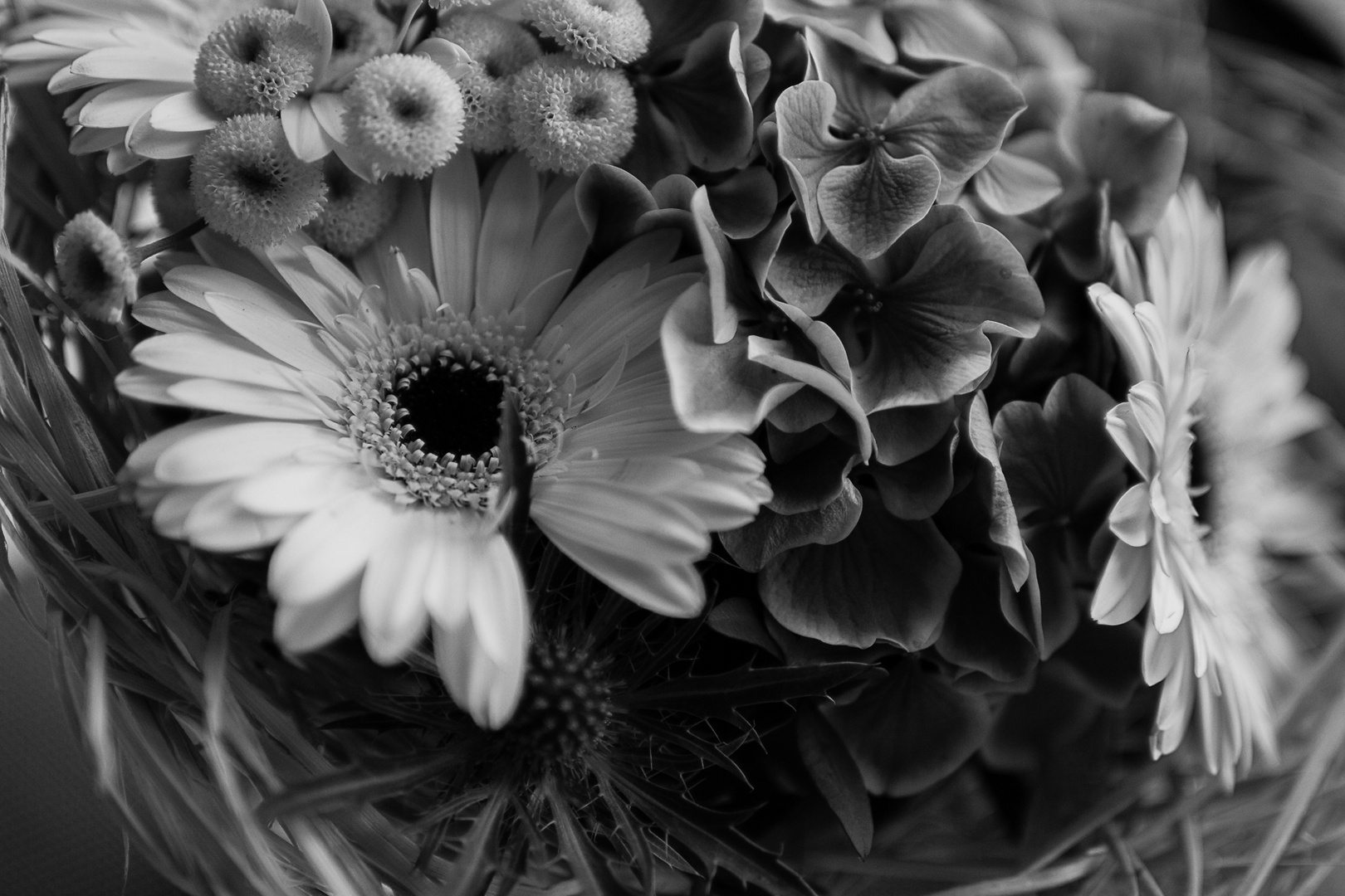 *Flowers B/W*