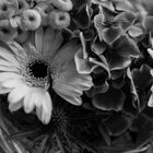 *Flowers B/W*