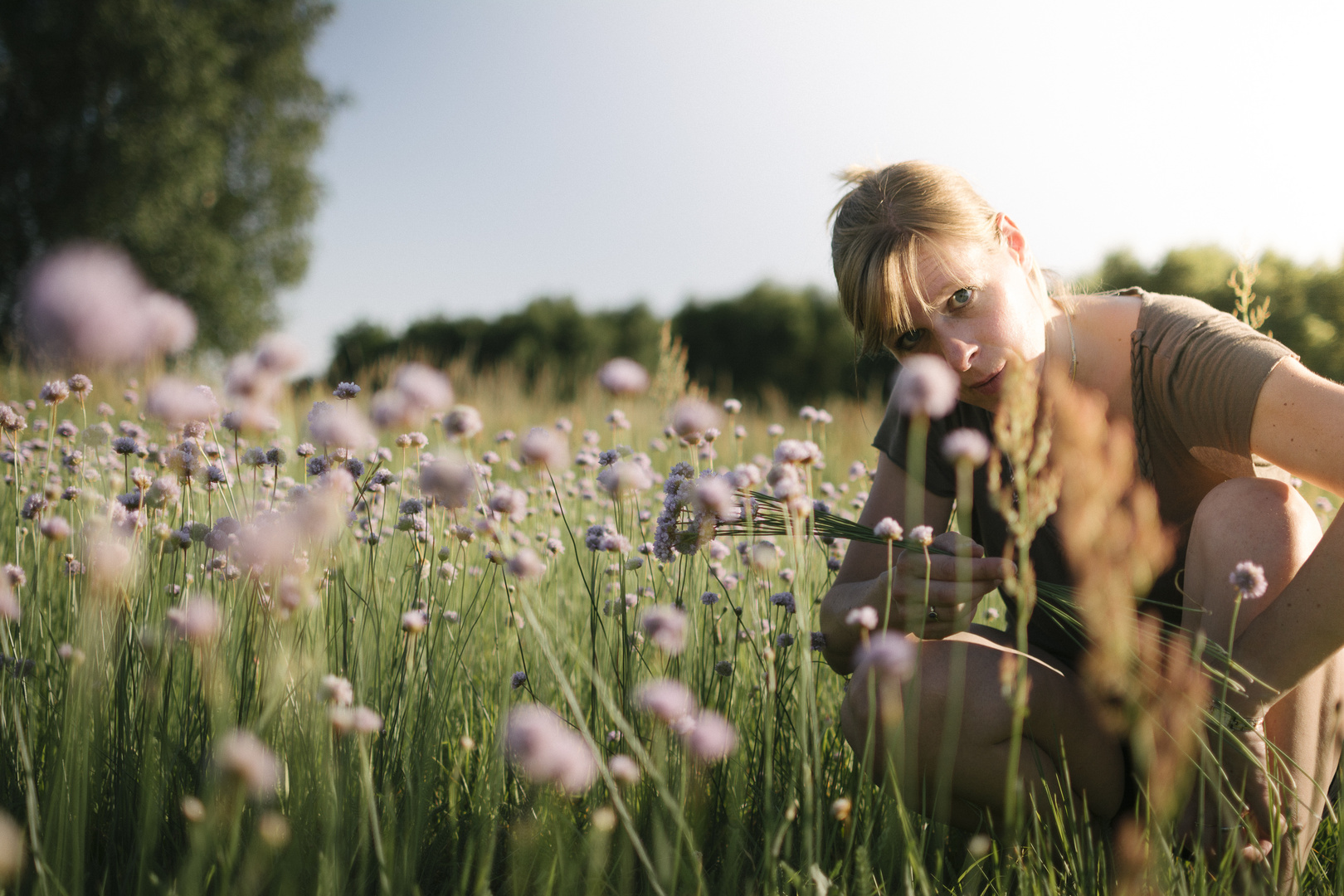 Flowers