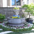 flowers decked fountain