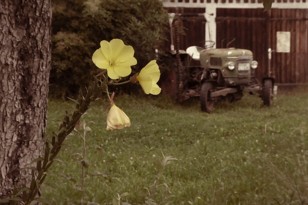 Flowers, Fendt, Farmer