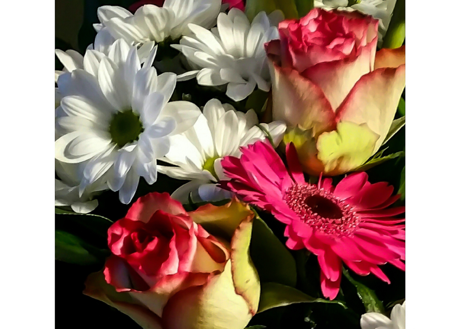 *** flowers for all of you ***