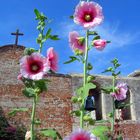 Flowers for the Church