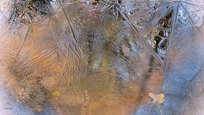 Flowers for your Sunday