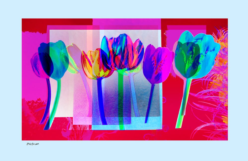 Flowers Forever Foto & Bild world, münchen, composing Bilder auf