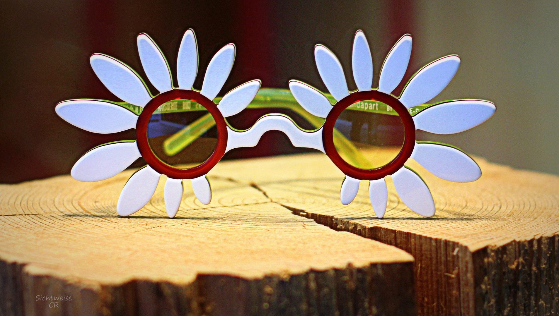 flowers glasses