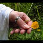 Flowers II