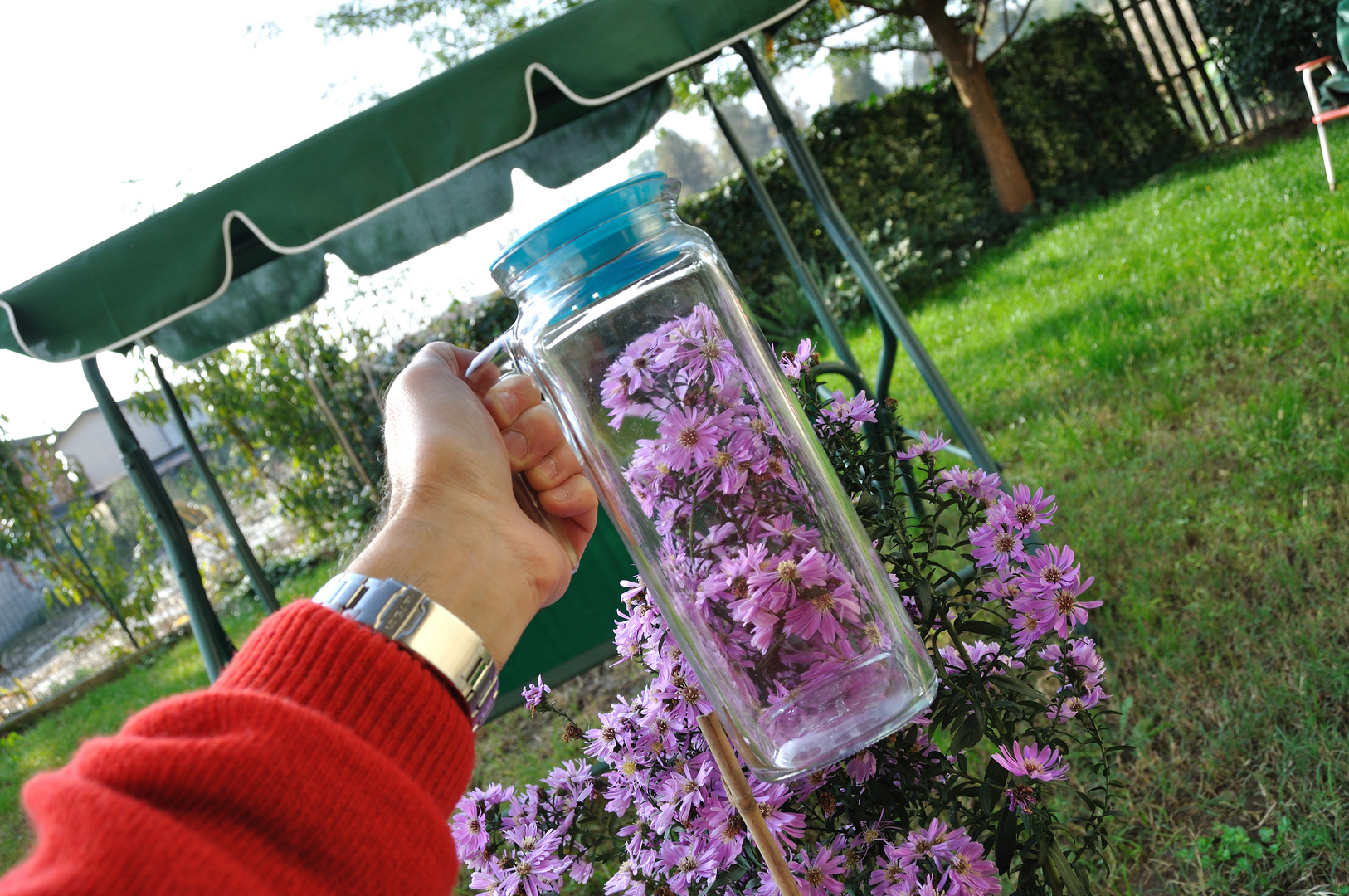 Flowers in a Bottle