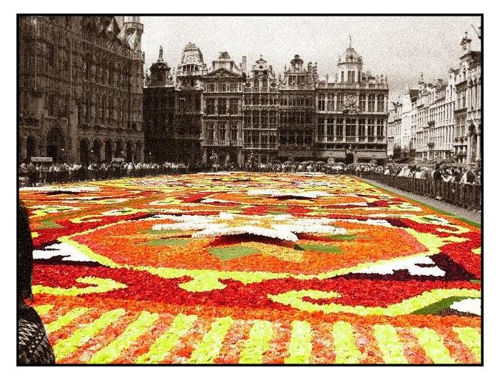Flowers in Brussels - Edited