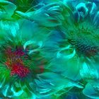 flowers in motion