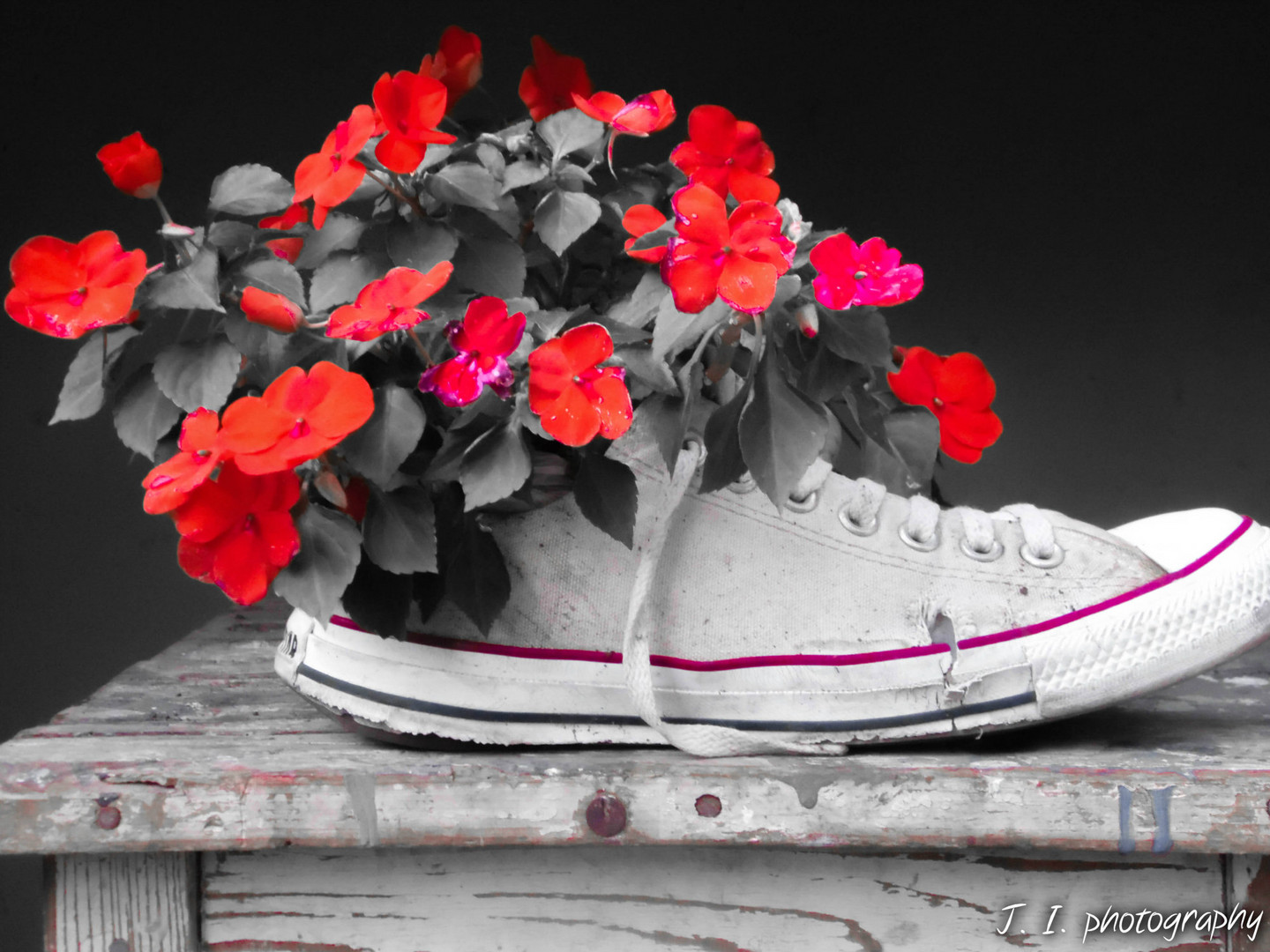 Flowers in sneaker