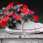 Flowers in sneaker