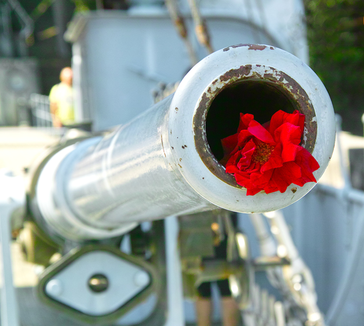 flowers in the cannon