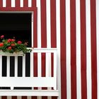 Flowers in the window / Blumen im Fenster