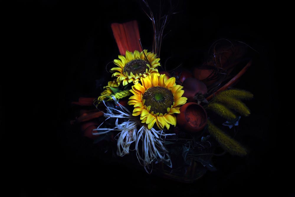 Flowers -light painting 1-