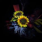 Flowers -light painting 1-