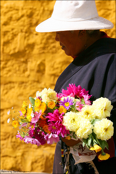 Flowers @ Litang