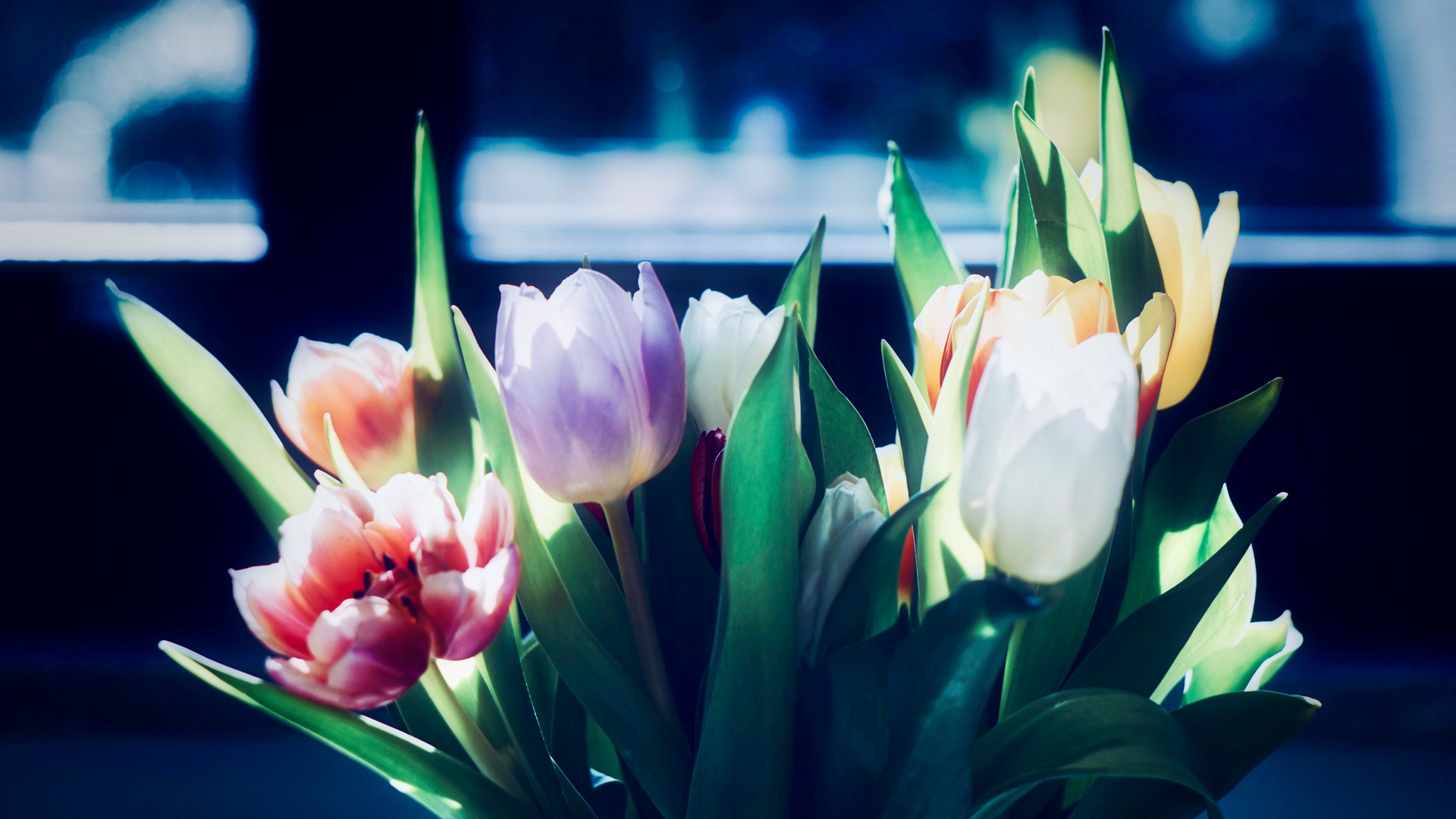 Flowers mit Altglas