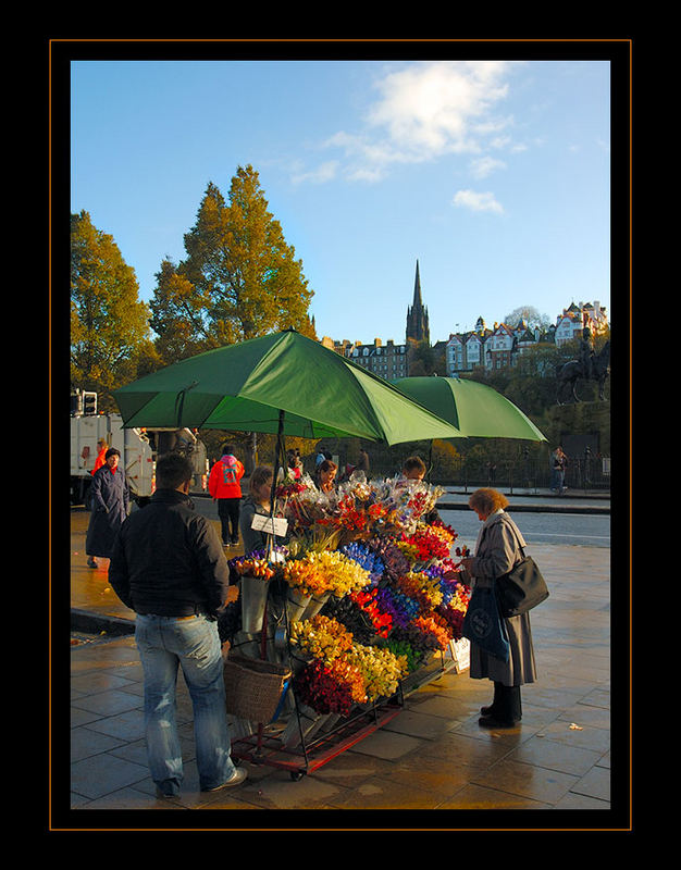 Flowers of Scotland