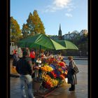 Flowers of Scotland