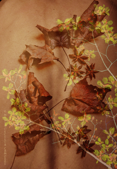 Flowers on skin