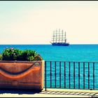 Flowers on the seafront of Giardini Naxos