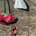 Flowers on the wall