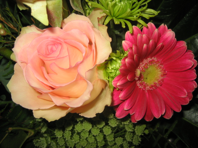 Flowers Rose & Gerbera