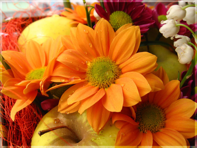 Flowers&Fruits