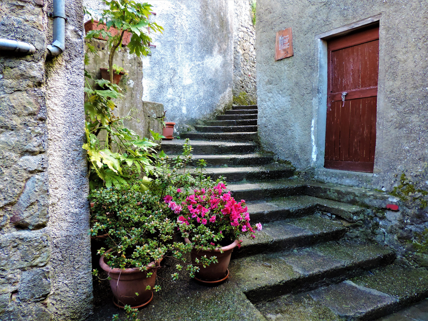 Flowery stairs