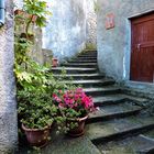 Flowery stairs