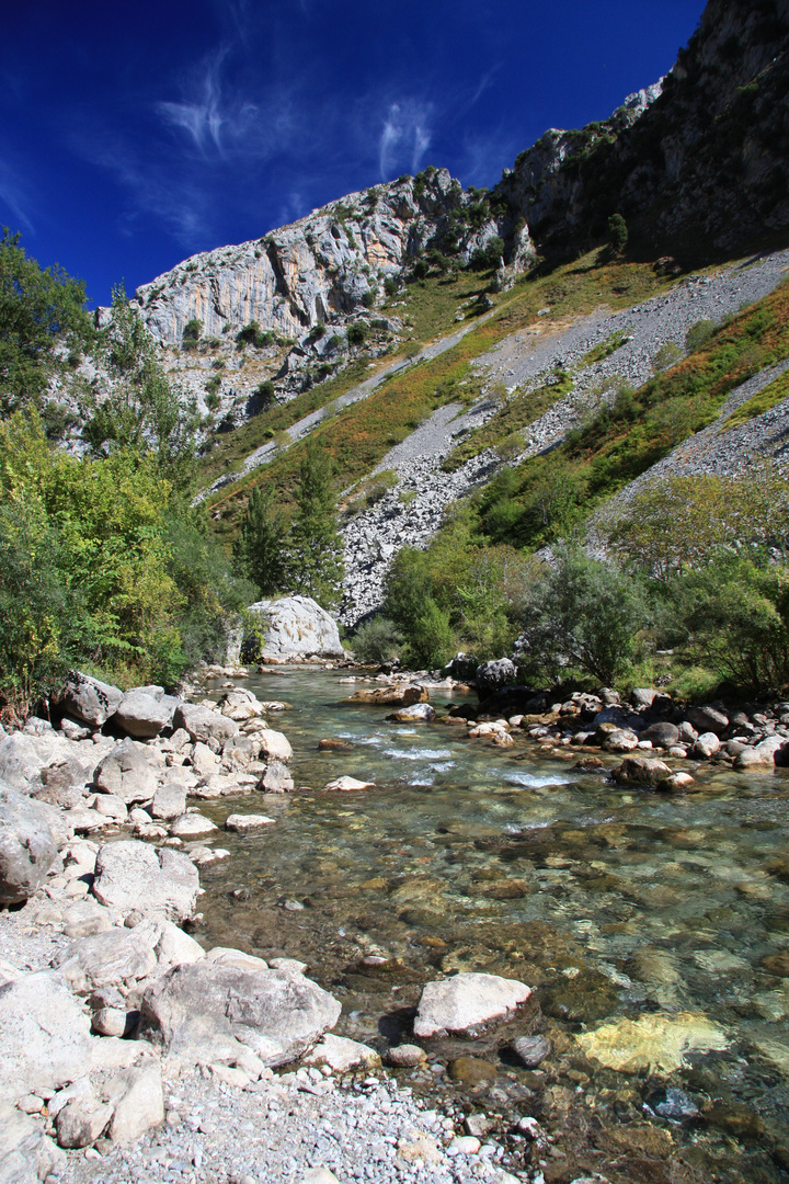 Flowing Creek