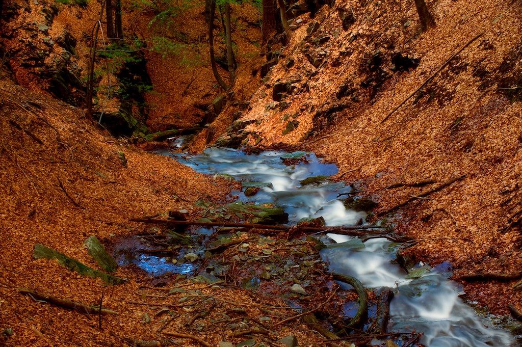 Flowing through leaves