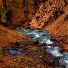 Flowing through leaves